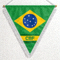 巴西国家足球队旗帜